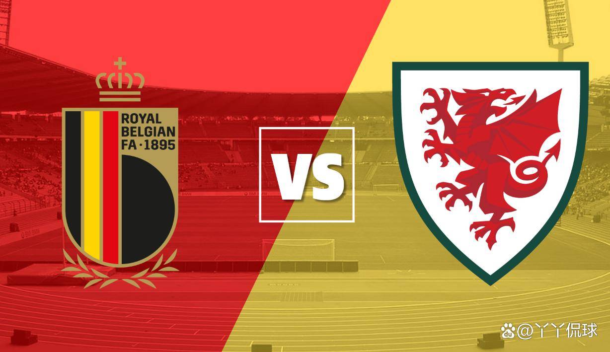 关于波兰力压比利时，取得关键胜利！的信息