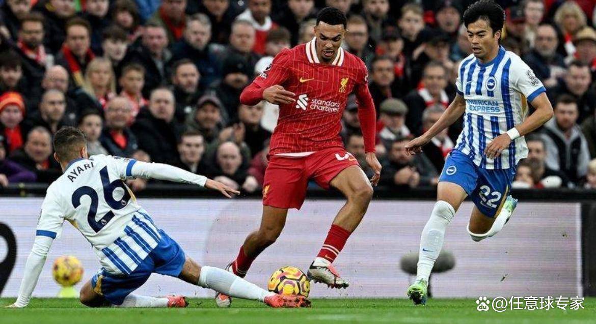 布莱顿取胜提振信心，英超保级生机大增的简单介绍