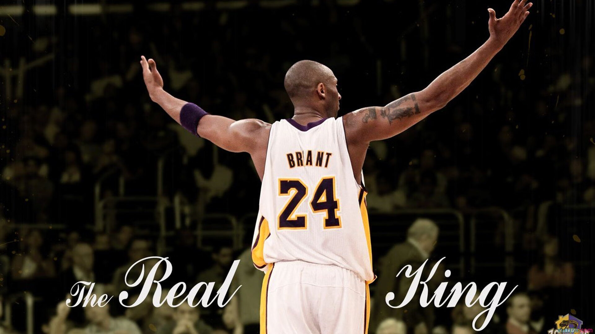 京多安一锤定音，荷兰式战术纪律如何击穿切尔西的钢铁防线